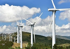 Simulación de un parque eólico.