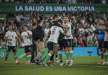 Ser un gallo y parecerlo