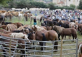 El ganado equipo predomina, pero también hay vacas, cabras y ovejas