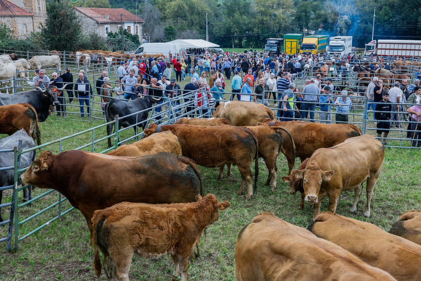 Vacas en el recinto ferial de Hoznayo rodeadas de asistentes.