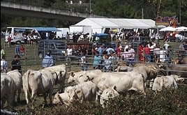 Imagen de archivo de una feria ganadera en Molledo.