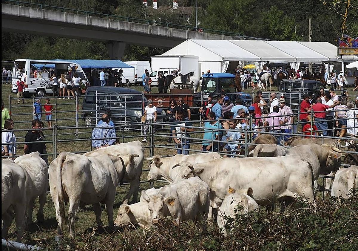 Imagen de archivo de una feria ganadera en Molledo.