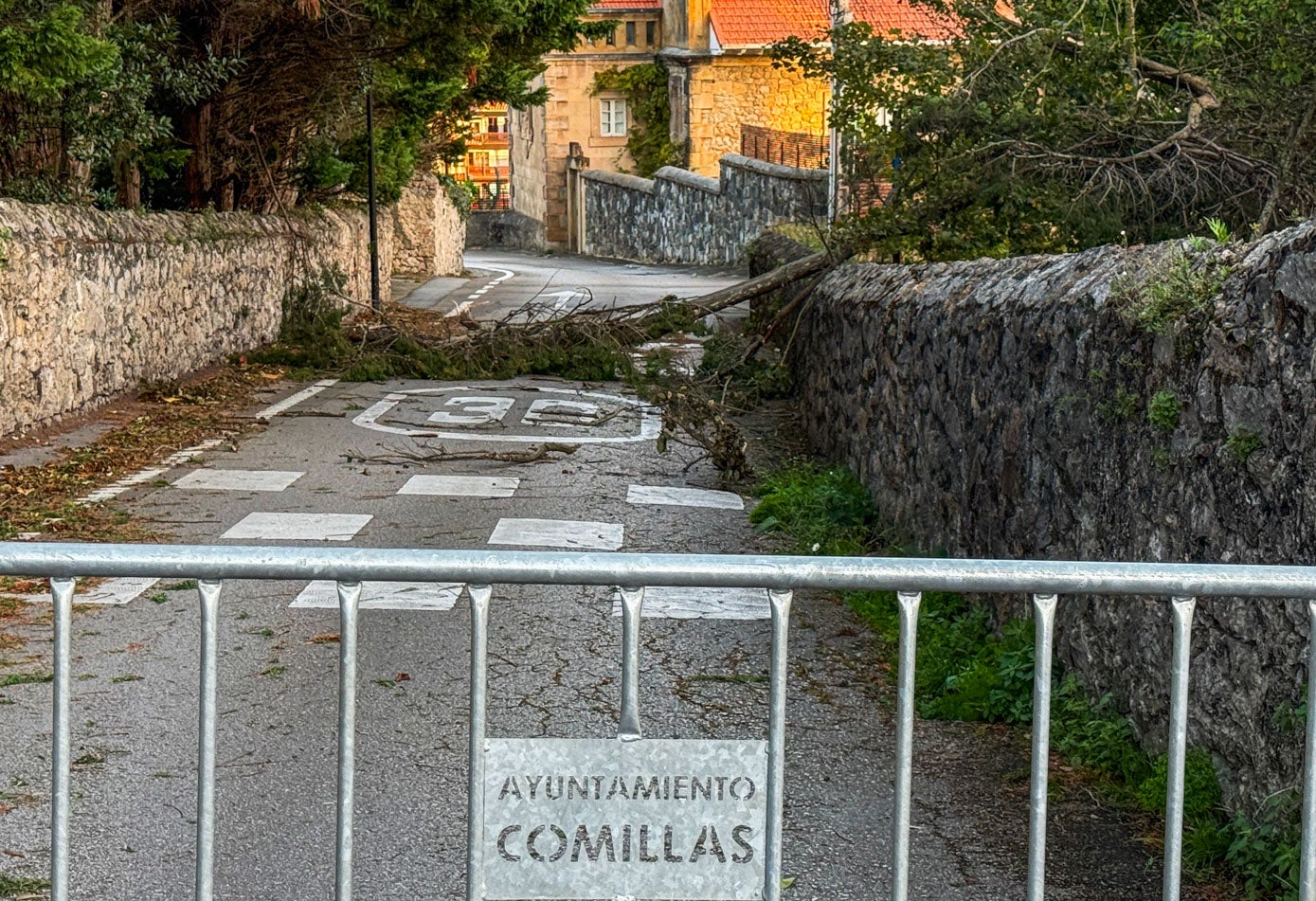 Árbol caído en Comillas que corta el tráfico en la vía.