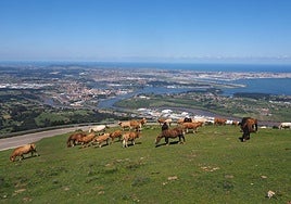 Carretera de subida a Peña Cabarga, con las vistas de la bahía de Santander al fondo.
