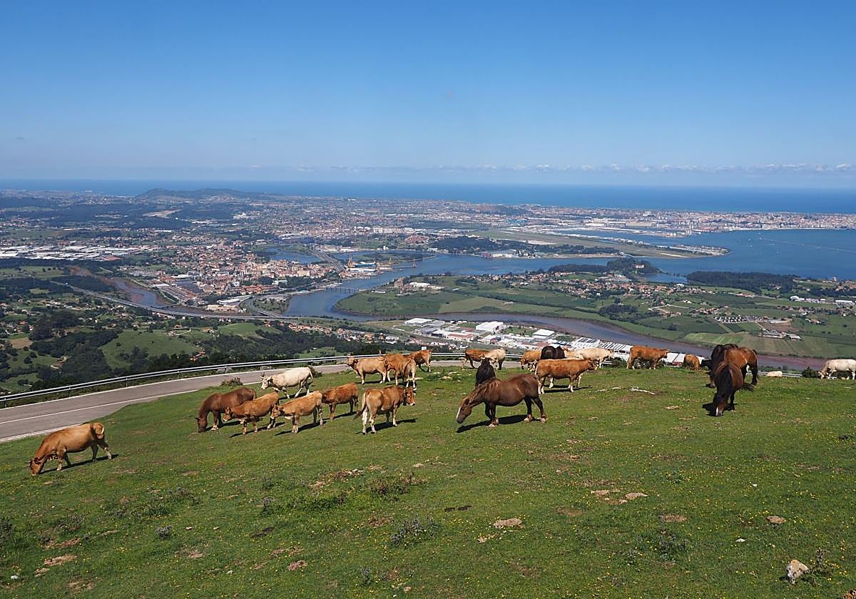 Carretera de subida a Peña Cabarga, con las vistas de la bahía de Santander al fondo.