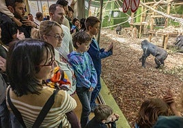 Turistas en el recinto de los gorilas de Cabárceno.