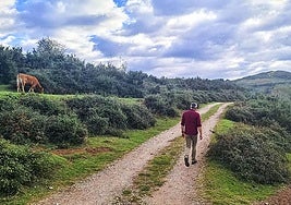 El alcalde pedáneo de Viérnoles, Eduardo Trueba, camina por el sendero que lleva a la ruta del Cuaternario.