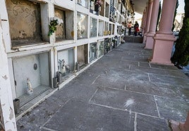 Estado de uno de los espacios del camposanto torrelaveguense, esta semana, en La Llama.