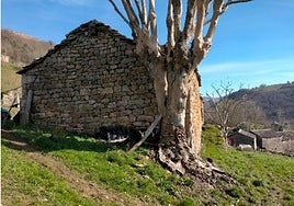 Salvo por un par de viviendas, el barrio en cuestión se encuentra actualmente deshabitado.