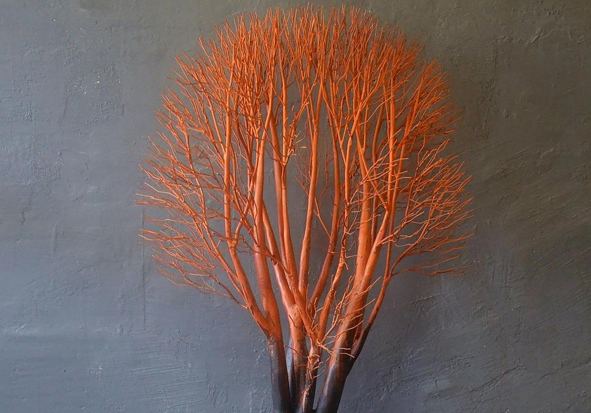 'Natura morta' supone el regreso de Daniel R. Martín a la galería. En la imagen, 'Acer aridam'. hierro /madera patinados.