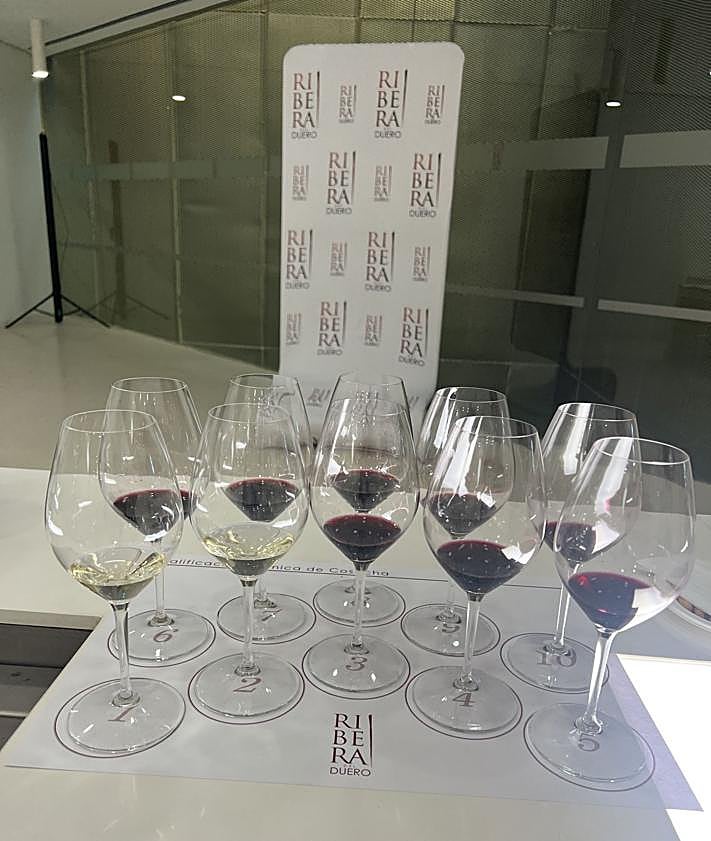 Imagen secundaria 2 - A lz izquierda, Enrique Pascual, presidente del Consejo Regulador DOP Ribera del Duero. Y, a la derecha, las diez copas con los respectivos vinos catados a ciegas.