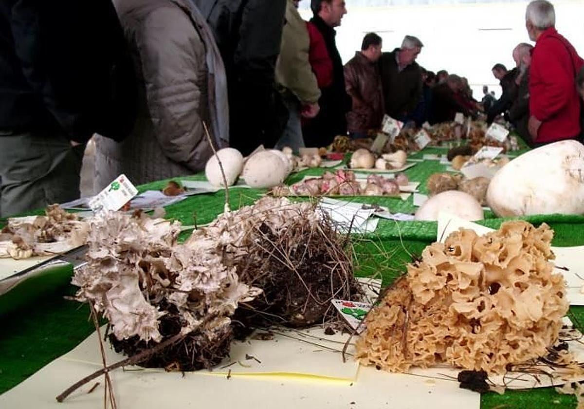 Imagen de una edición anterior de esta cita anual.