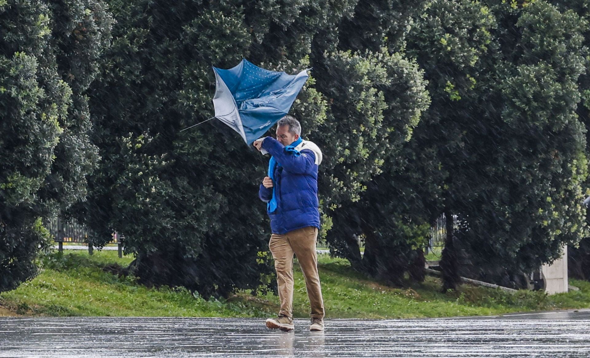 Imagen principal - El viento sur enloquece el otoño: hasta 28º en la costa y rachas de hasta 100 km/h en el interior
