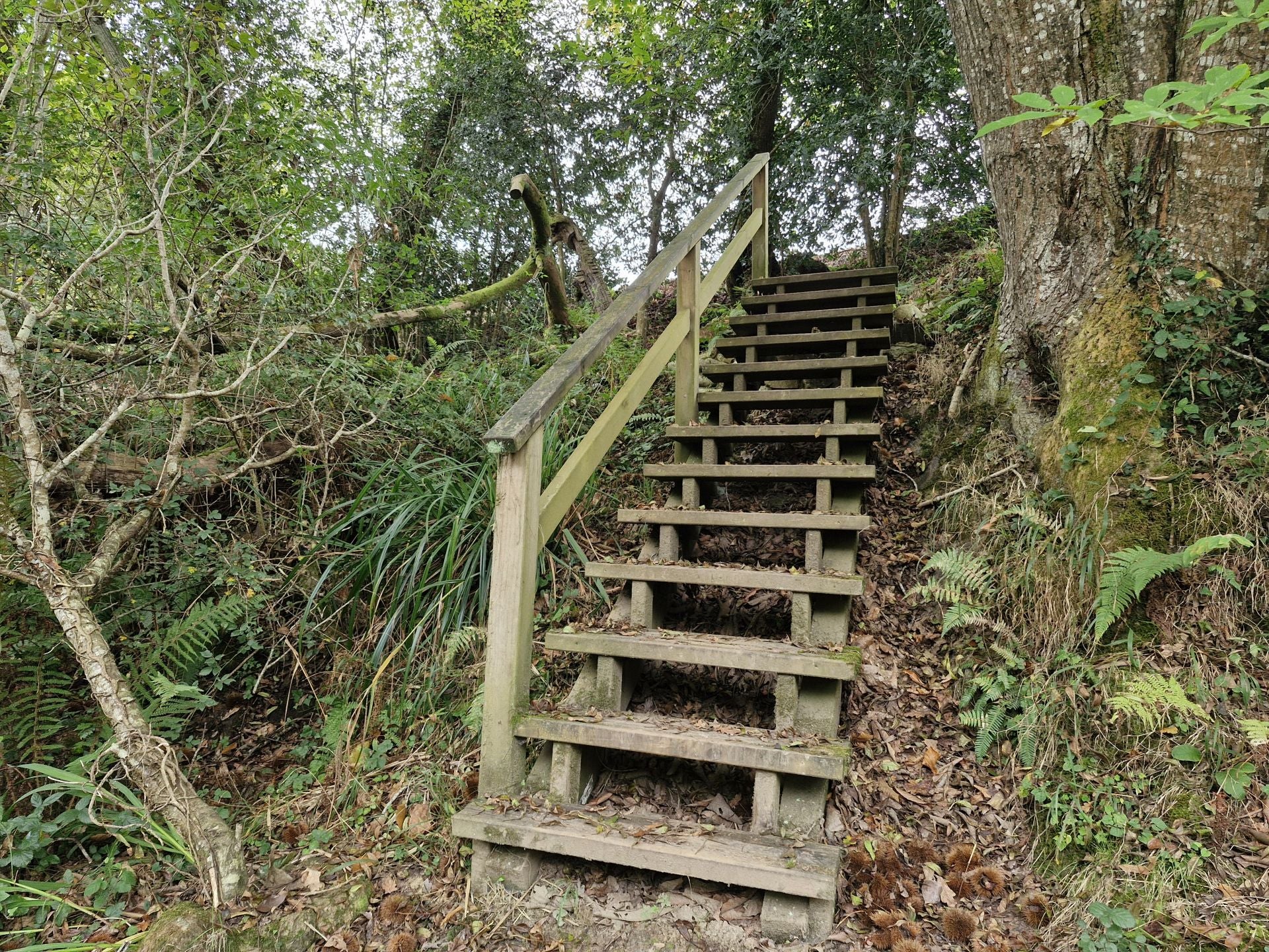En la senda hay algunos tramos de escaleras para salvar pequeños desniveles.