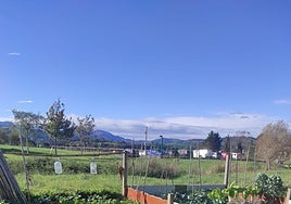 Huertos urbanos de Colindres.