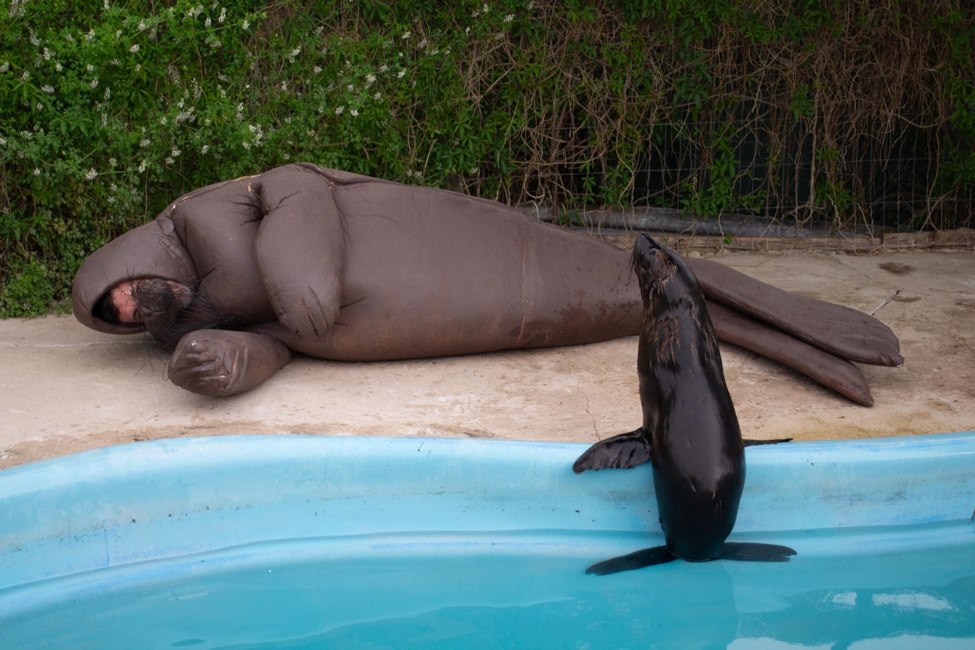 Eduardo Navarro. 'F.O.C.A. Fundación Oceánica de Contemplación Amorosa'. Punta Colorada, 2024.