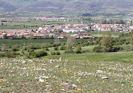 Vista panorámica de Campoo de Enmedio.