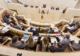 Vista de la Cámara regional durante la intervención de la regionalista Rosa Díaz.