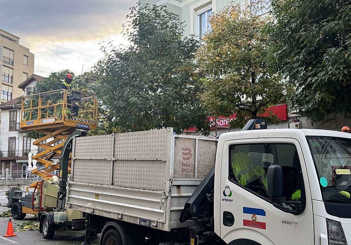 Labores de poda en El Astillero.