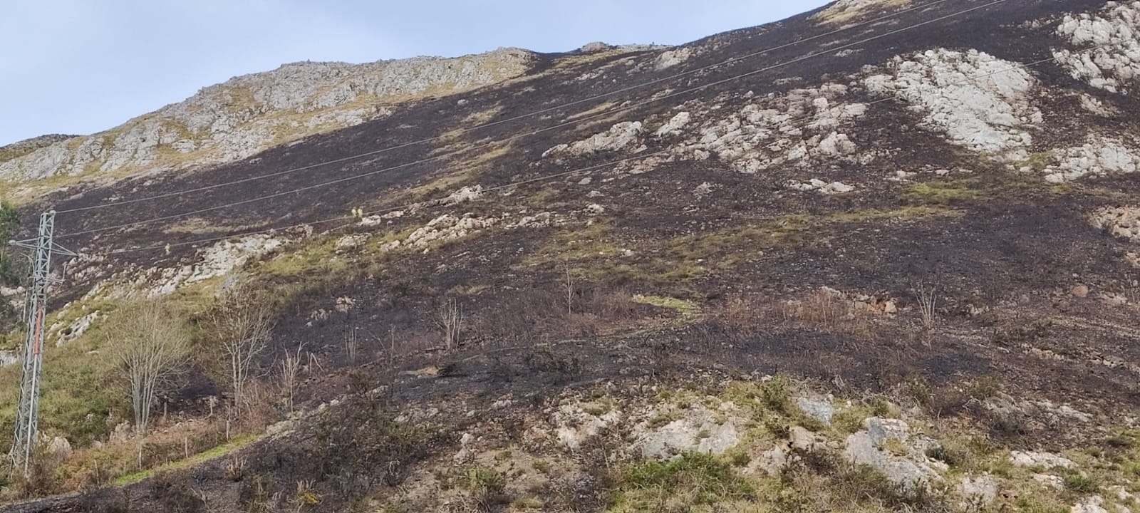 Así ha quedado la zona quemada en San Felices, matorral principalmente.