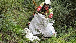 Un bombero del Parque de Laredo procede al rescate del cisne.