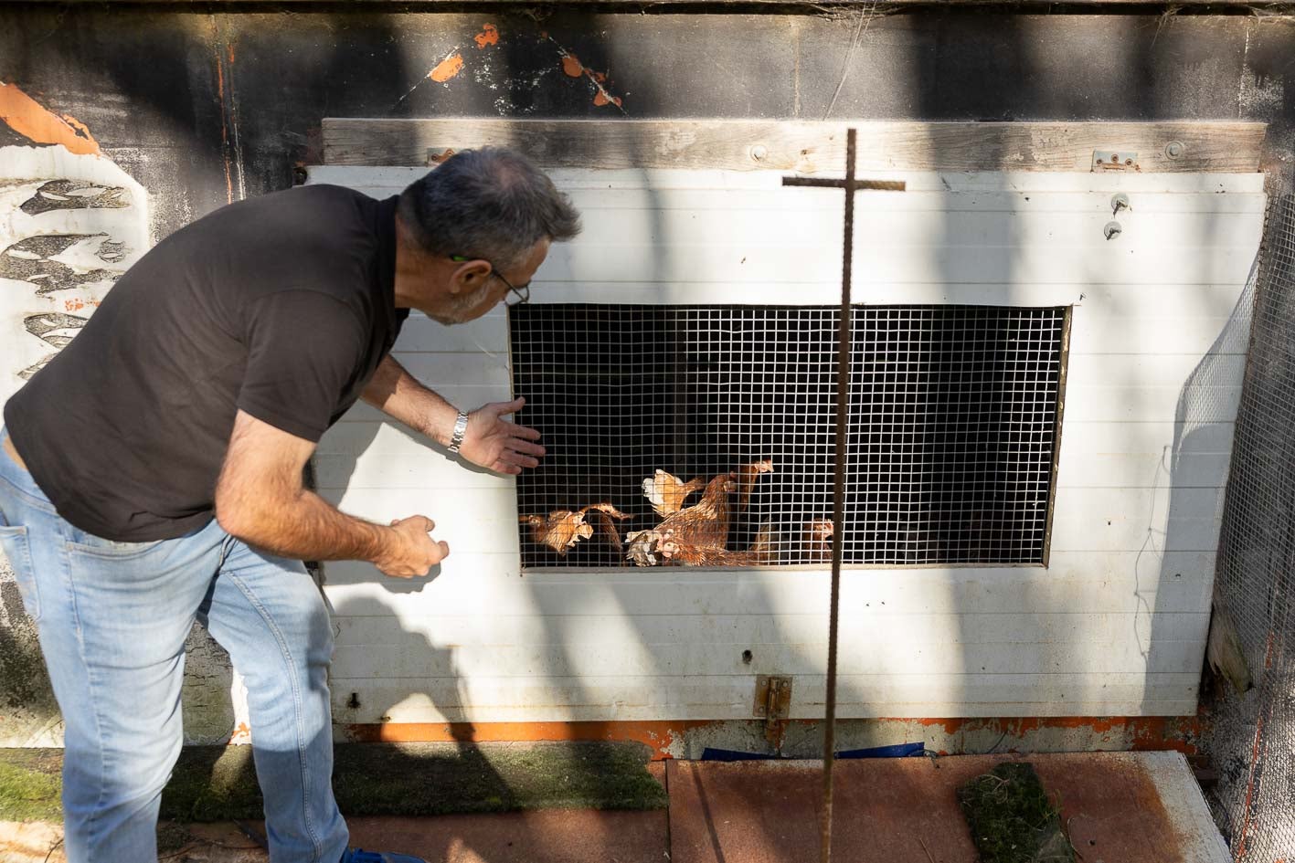 El avicultor Carlos Martín enseña la ventana por la que saldrían las gallinas al exterior.