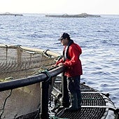 Recintos flotantes de Aquanaria en Gran Canaria.