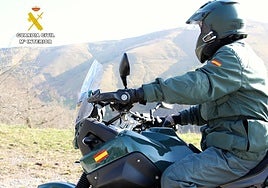 El Seprona pilla a un furtivo en un coto de Valdeolea, de noche y con dos rifles