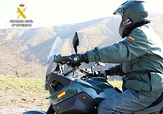 El Seprona pilla a un furtivo en un coto de Valdeolea, de noche y con dos rifles