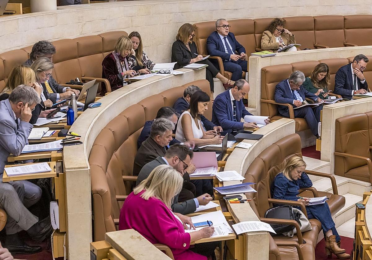 Los diputados del Parlamento de Cantabria, durante una sesión plenaria.