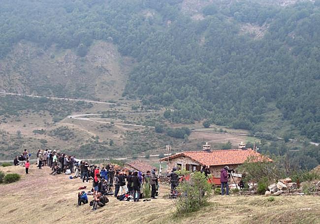 El avistamiento es una de las actividades turísticas más vinculadas al animal.