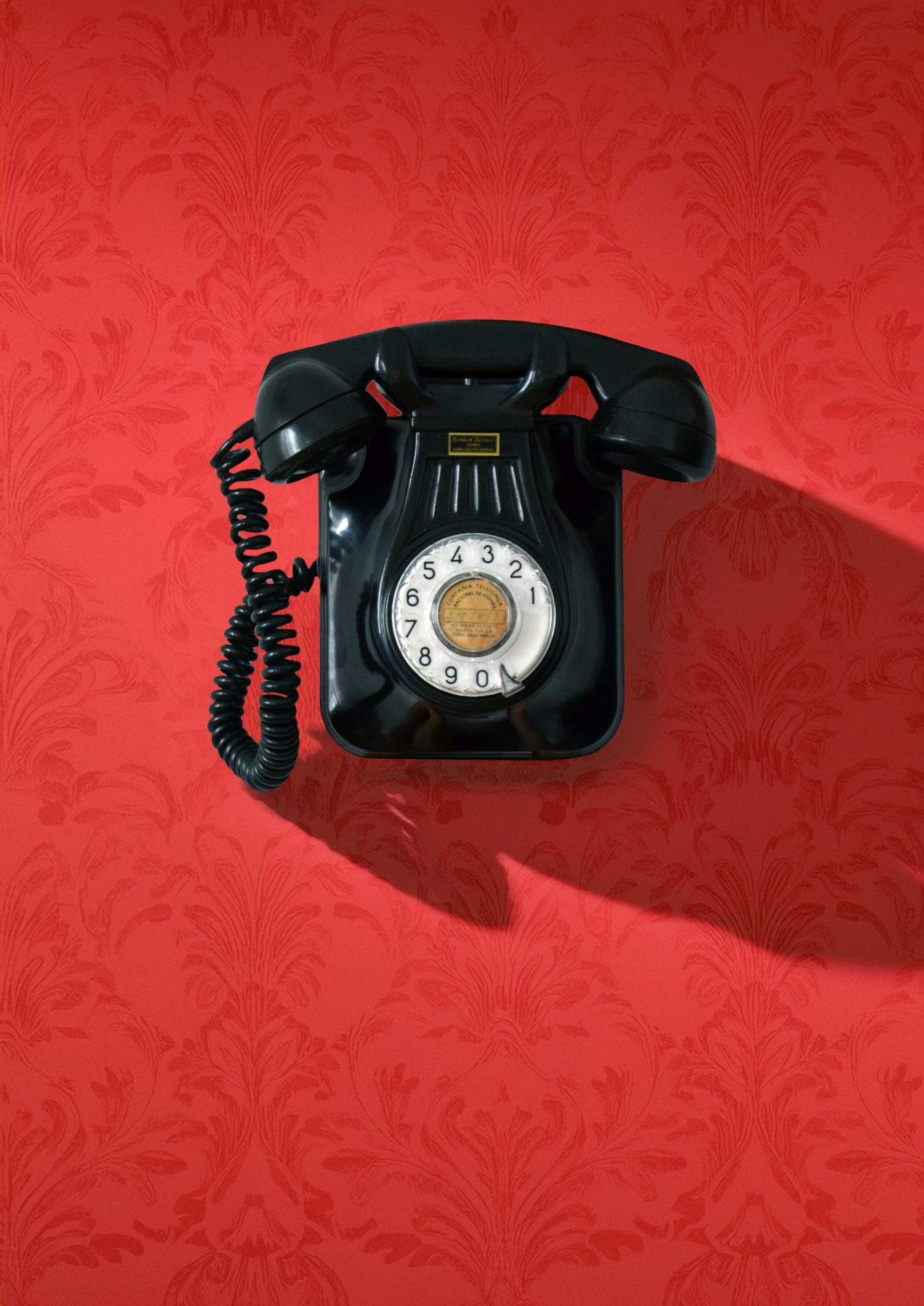 Crackeling spam: Una crítica al Ruido Digital' de Susana Ballesteros fue premio al artista cántabro.