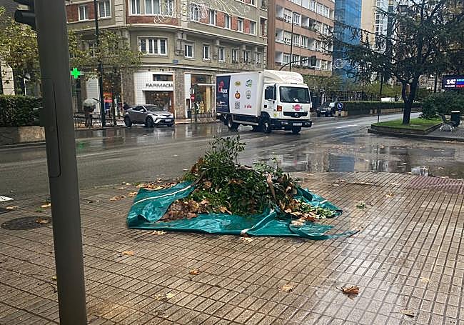 Hojas y ramas caídas, recogidas por los operarios municipales del servicio de limpieza de Santander.