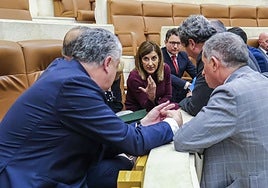 María José Sáenz de Buruaga junto a sus compañeros de bancada este lunes en el hemiciclo.