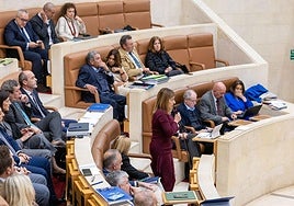 María José Sáenz de Buruaga vota bajo la mirada de la bancada regionalista.