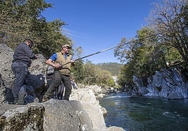 Un pescador en pleno lance en el río Pas a su paso por Puente Viesgo.