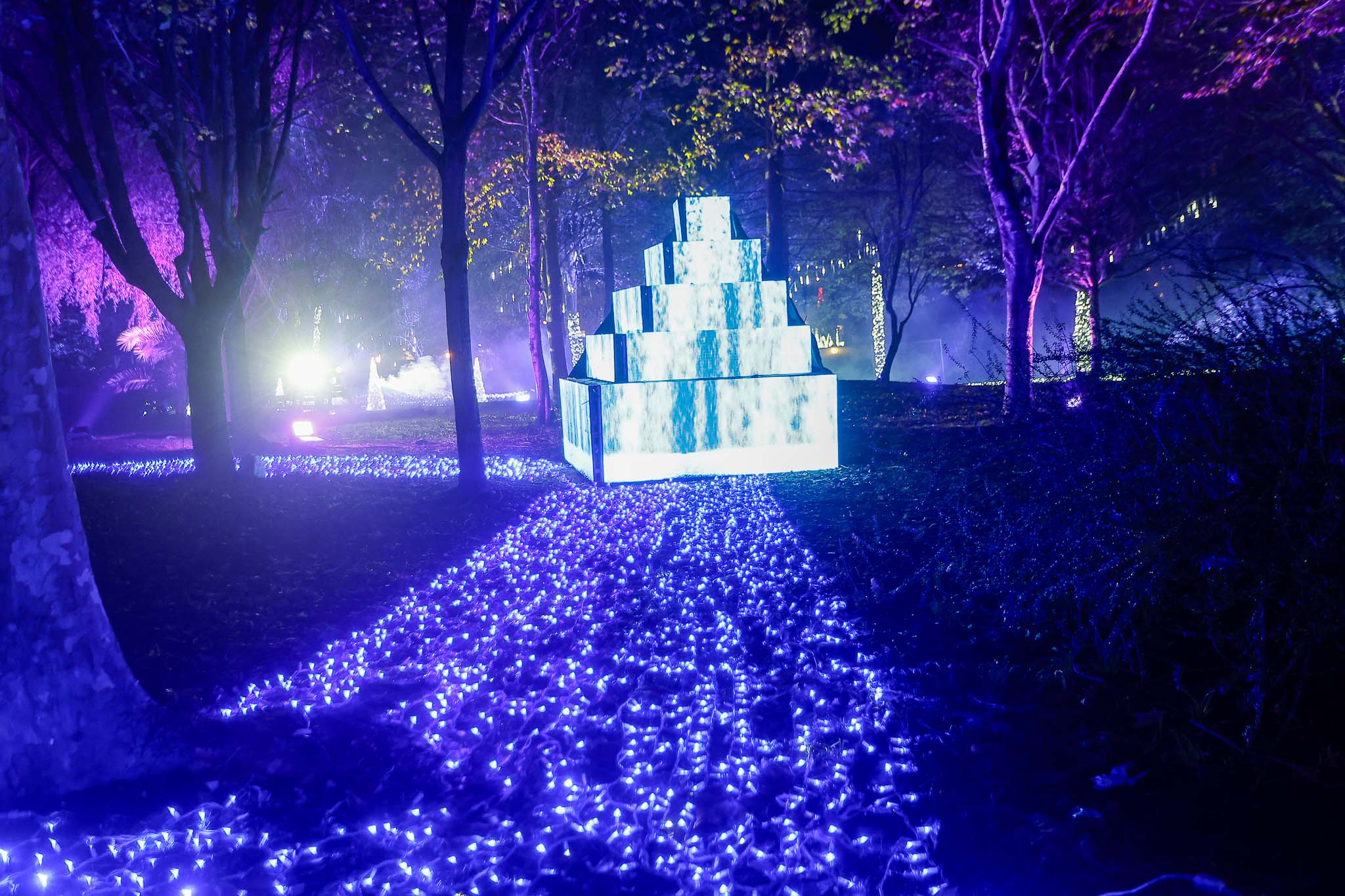 El decorado navideño atrajo a miles de personas el año pasado.