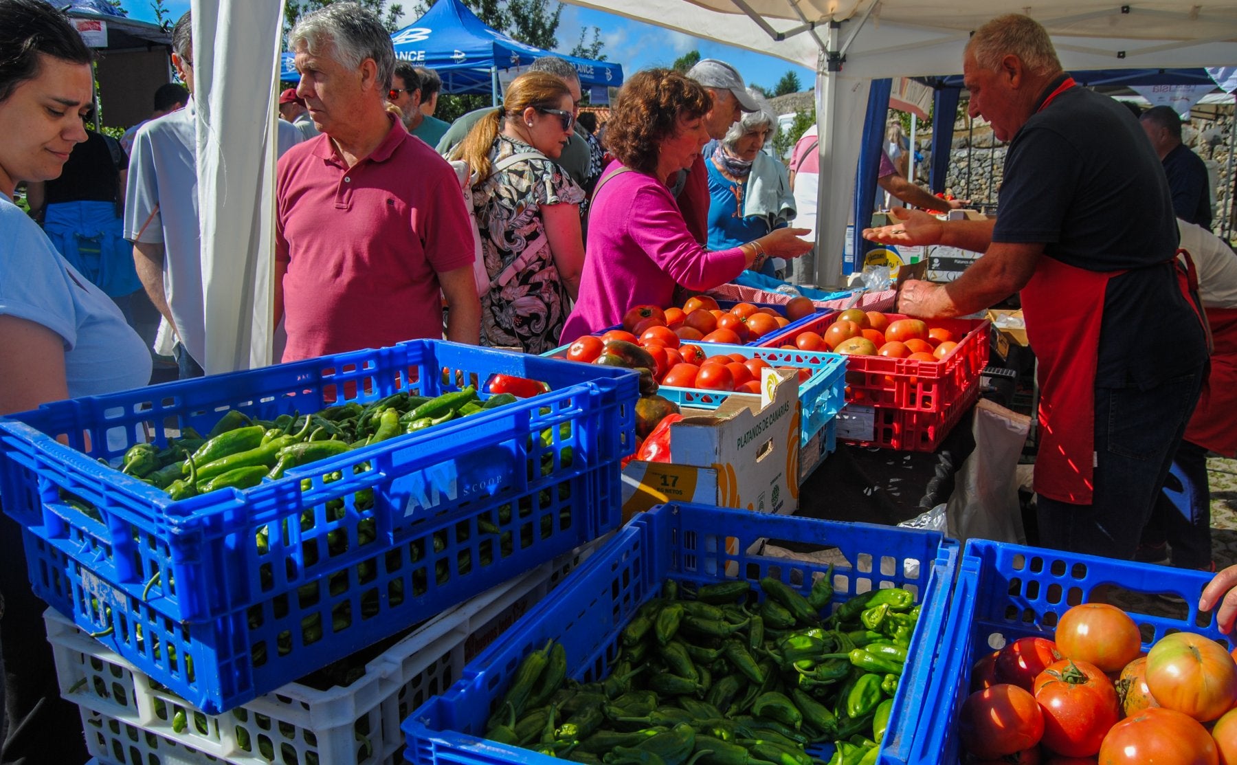 Los agricultores locales recibirán información sobre los cultivos más resilientes al cambio climático.