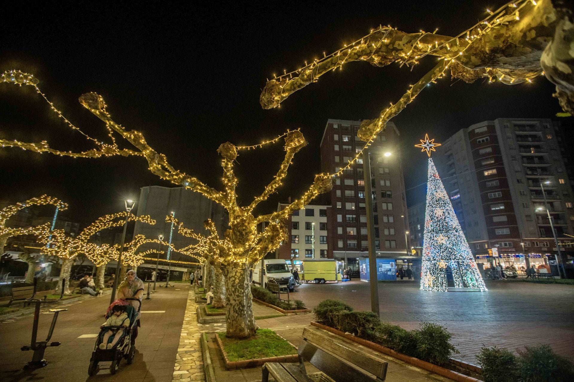 Los árboles también se han sumado a la fiesta lumínica de Camargo.