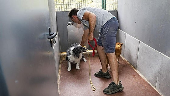 Los hoteles caninos de Cantabria, «completos» en Semana Santa