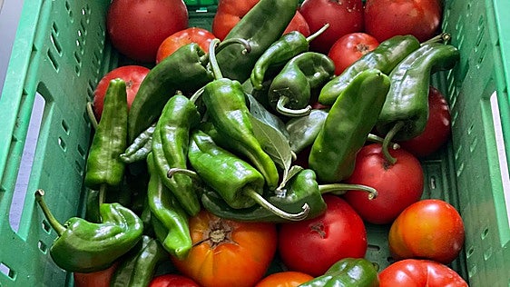 Hablamos de tomates con el orgullo de saber hacer las cosas bien