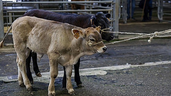 La feria recupera pulso pero sufre por la baja demanda