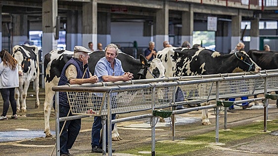 El Ferial dispara su oferta semanal con 1.925 animales