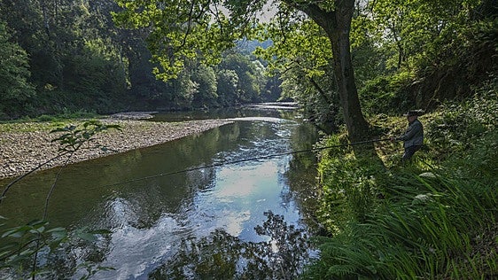 Cantabria concluye hoy la temporada más desastrosa con sólo tres salmones pescados