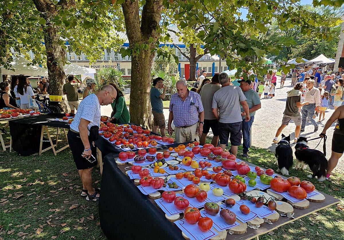 Los tomates antiguos vuelven a Polanco