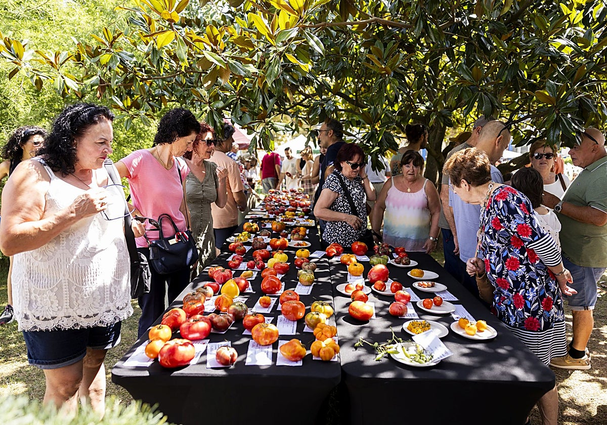 Polanco revalida al rey de los tomates