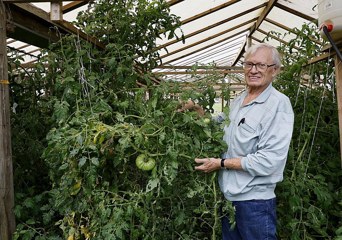La tristeza del fundador del Festival del Tomate: «Años de trabajo a la basura»