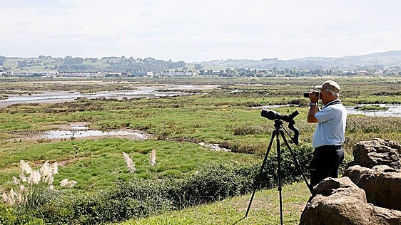 La ría de Suances comienza a volver a la normalidad tras las muertes de aves