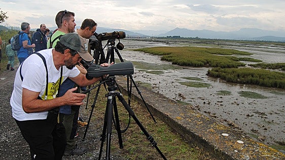 Prismáticos listos para el Festival de Migración de las Aves en las Marismas de Santoña