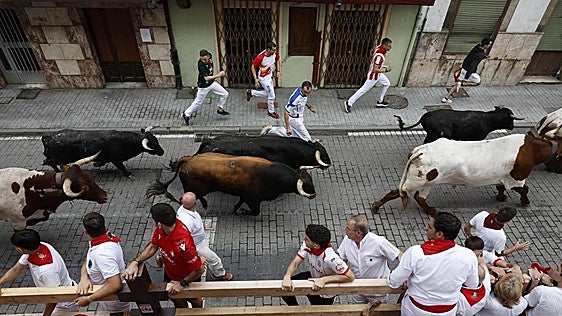 El primer encierro de las fiestas de Ampuero se salda con un peñista corneado